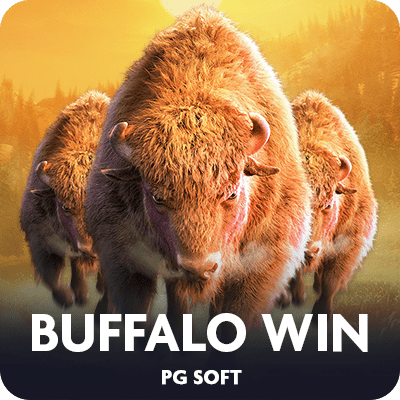 Buffalo Win